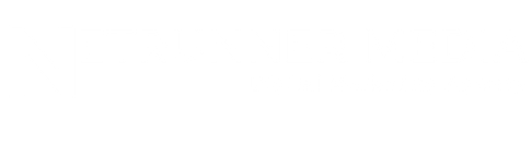 NetRunner Media Agency